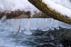 Impressionen - Urlaub mit Pflege