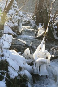 Brühlbach im Winter 2009