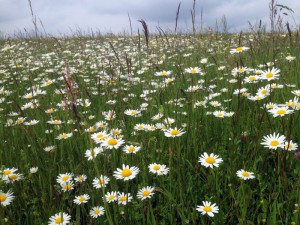 Impressionen - Urlaub mit Pflege