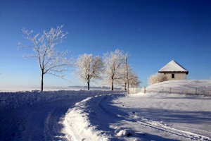 Impressionen - Urlaub mit Pflege