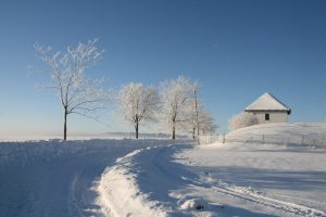 Winterlandschaft