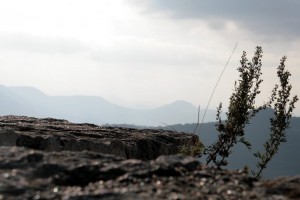 Impressionen - Urlaub mit Pflege