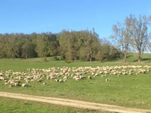 Pflege Urlaub - Bad Urach