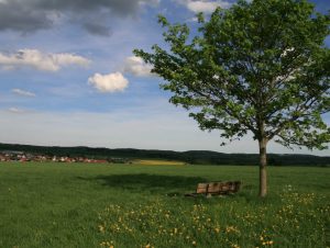 Pflege Urlaub - Bad Urach