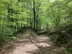 Wandern in Bad Urach - Impressionen