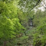 Wandern in Bad Urach - Impressionen