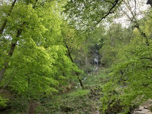 Wandern in Bad Urach - Impressionen