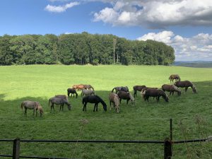 Wandern - Natur - Schwäbische Alb - 12