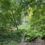 Wandern - Natur - Schwäbische Alb - 14