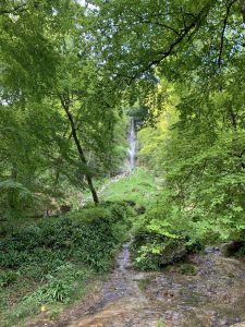 Wandern - Natur - Schwäbische Alb - 14