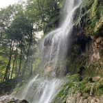 Wandern - Natur - Schwäbische Alb - 15