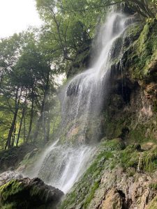 Wandern - Natur - Schwäbische Alb - 15