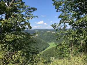 Wandern - Natur - Schwäbische Alb - 03