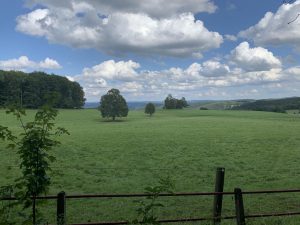 Wandern - Natur - Schwäbische Alb - 08