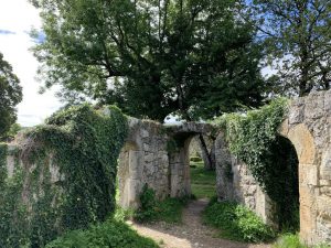 Wandern - Natur - Schwäbische Alb - 09