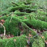 Bad Urach - Herbstimpressionen 10