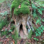 Bad Urach - Herbstimpressionen 09