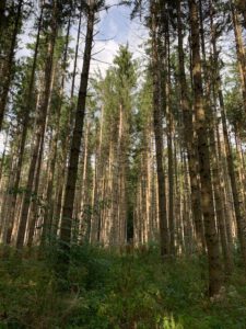 Bad Urach - Herbstimpressionen 07