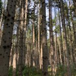 Bad Urach - Herbstimpressionen 05