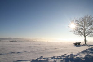 Schwäbische Alb - Wanderung