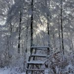 Pflegeurlaub - Winterlandschaft auf der Schwäbischen Alb