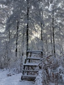 Pflegeurlaub - Winterlandschaft auf der Schwäbischen Alb