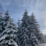 Pflegeurlaub - Winterlandschaft auf der Schwäbischen Alb