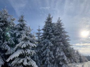 Pflegeurlaub - Winterlandschaft auf der Schwäbischen Alb