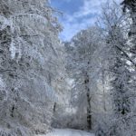 Pflegeurlaub - Winterlandschaft auf der Schwäbischen Alb