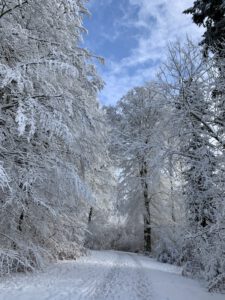 Pflegeurlaub - Winterlandschaft auf der Schwäbischen Alb