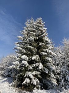 Pflegeurlaub - Winterlandschaft auf der Schwäbischen Alb