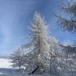 Pflegeurlaub - Winterlandschaft auf der Schwäbischen Alb