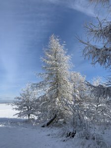 Pflegeurlaub - Winterlandschaft auf der Schwäbischen Alb