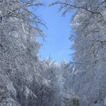 Pflegeurlaub - Winterlandschaft auf der Schwäbischen Alb