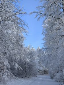 Pflegeurlaub - Winterlandschaft auf der Schwäbischen Alb