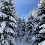 Pflegeurlaub - Winterlandschaft auf der Schwäbischen Alb