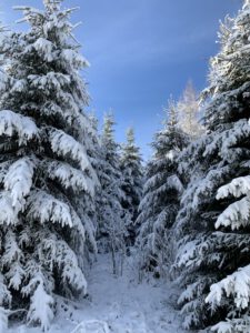 Pflegeurlaub - Winterlandschaft auf der Schwäbischen Alb