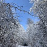 Pflegeurlaub - Winterlandschaft auf der Schwäbischen Alb