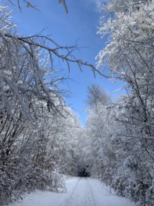 Pflegeurlaub - Winterlandschaft auf der Schwäbischen Alb