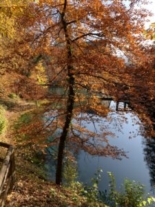 Ausflug zum Blautopf