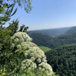 Fotogalerie Sommer-Sonne-Urlaub