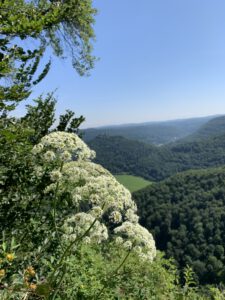 Fotogalerie Sommer-Sonne-Urlaub