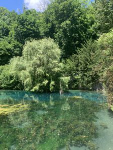 Fotogalerie Sommer-Sonne-Urlaub