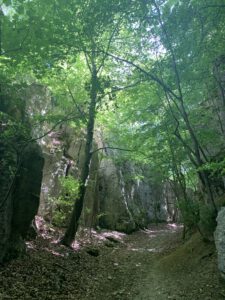 Fotogalerie Sommer-Sonne-Urlaub