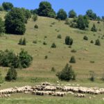 Fotogalerie Sommer-Sonne-Urlaub