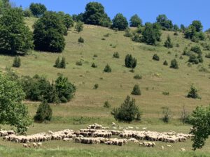 Fotogalerie Sommer-Sonne-Urlaub