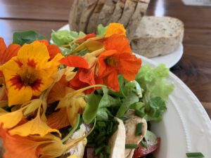 Salat - Pension und Pflegehotel Urlaubsidylle Alb