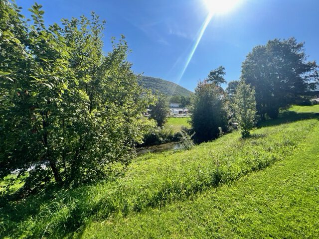 Streuobstwiese Bad Urach