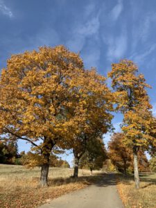 Herbstimpressionen 01 - Bilder der Urlaubsidylle Alb - das Pflegehotel