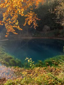 Herbstimpressionen 04 - Bilder der Urlaubsidylle Alb - das Pflegehotel